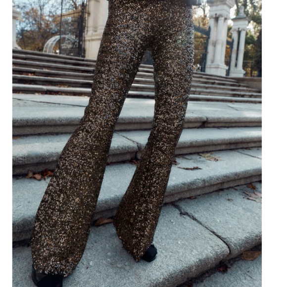 Zara Pants - ZARA SEQUIN FLARE PANTS LEGGINGS